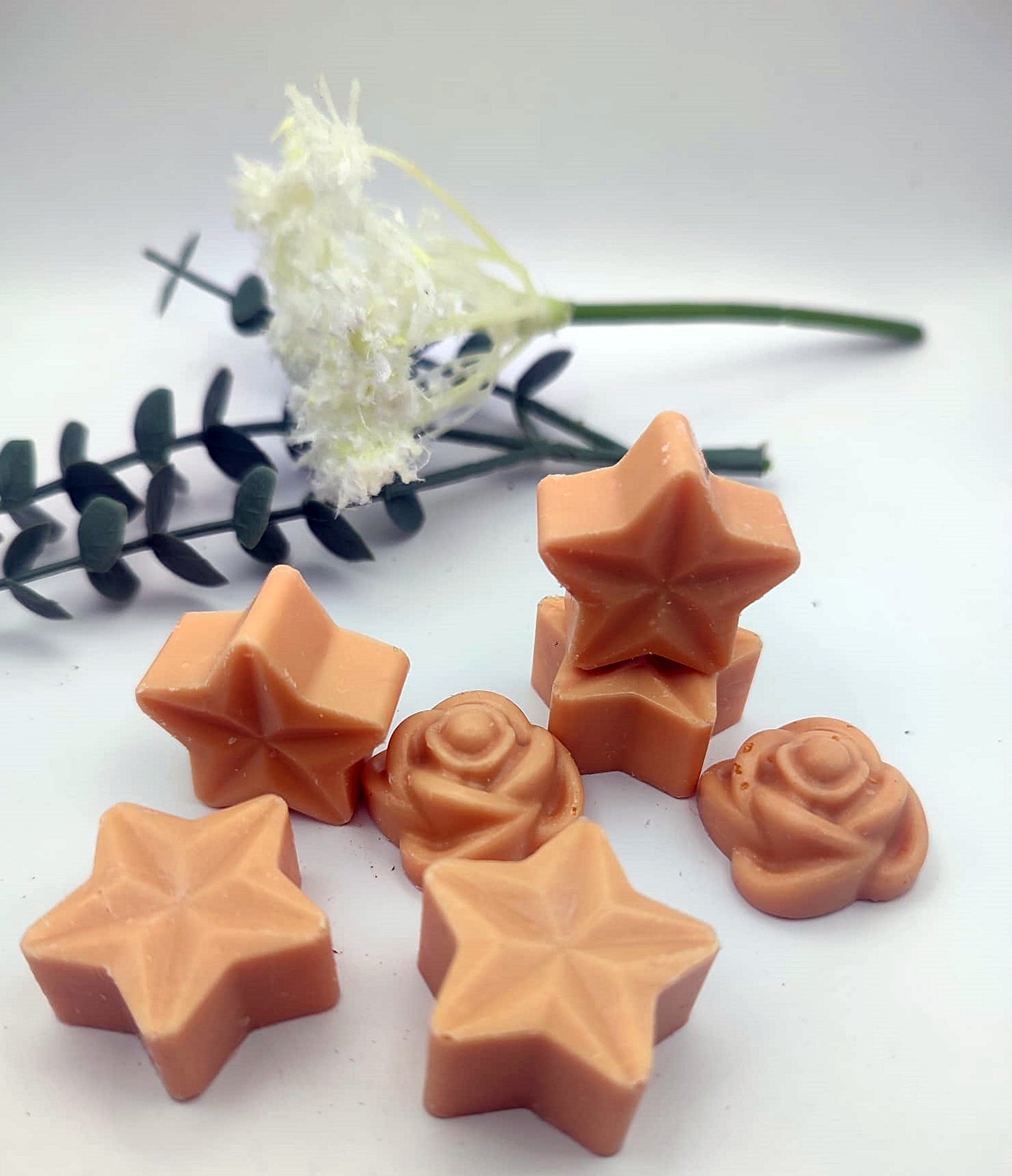 Wax melts Surtido